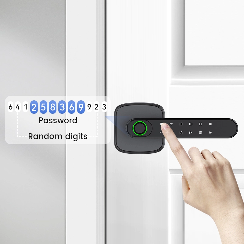 Single Latch-Based Mini Smart Lever Lock For Interior Door