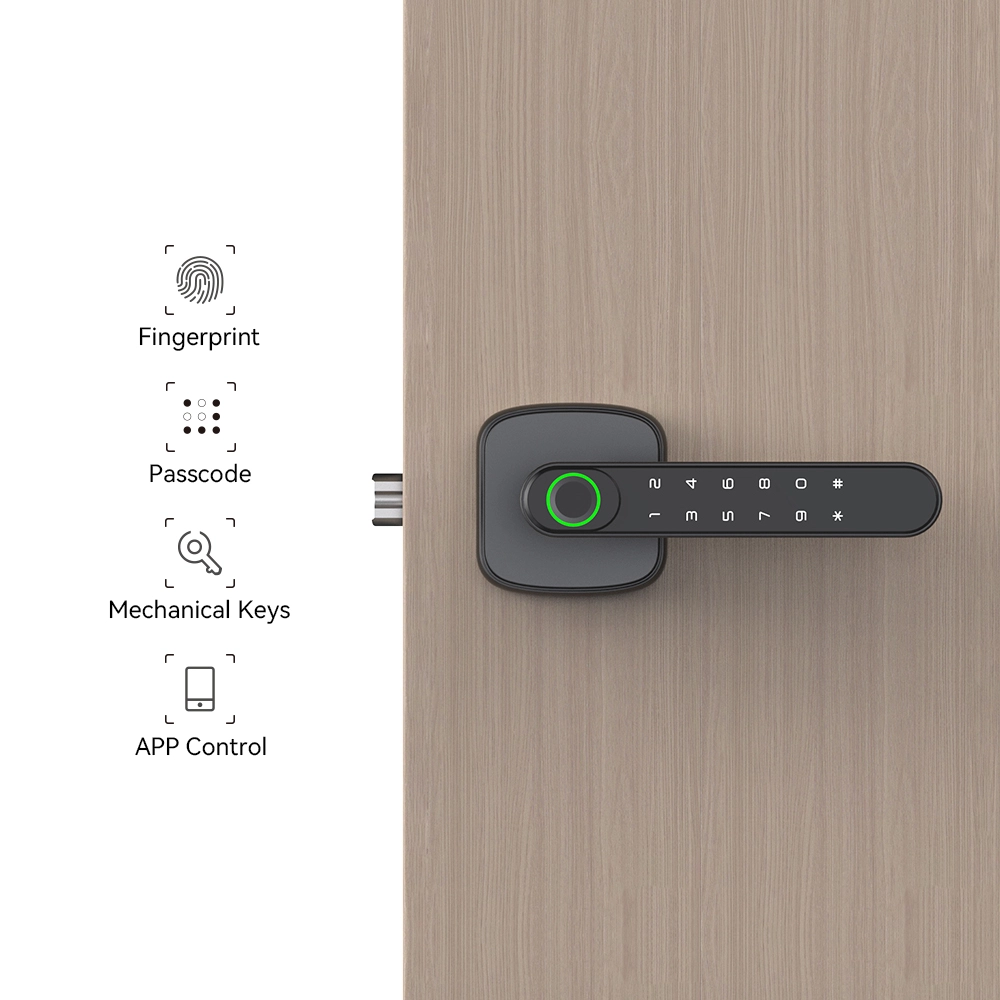 Single Latch-Based Mini Smart Lever Lock For Interior Door