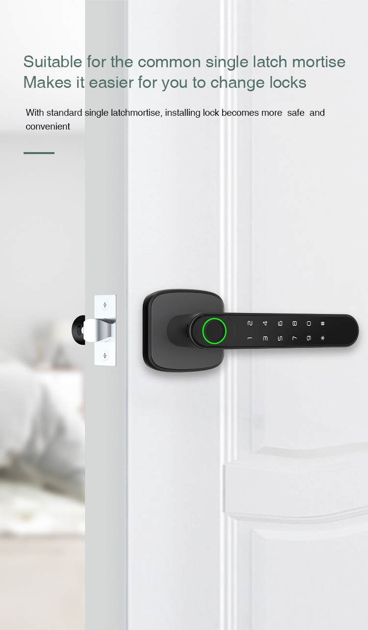 Details_of_Single_Latch-Based_Mini_Smart_Lever_Lock_For_Interior_Door_07.jpg